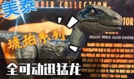 迅猛龙视频爆料,惊心动魄的野外生存瞬间