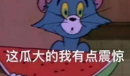 吃瓜娱乐热,吃瓜群众的热议焦点